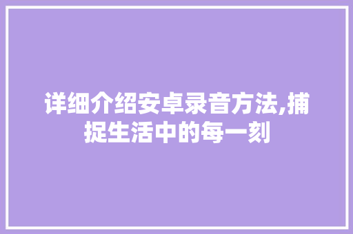 详细介绍安卓录音方法,捕捉生活中的每一刻