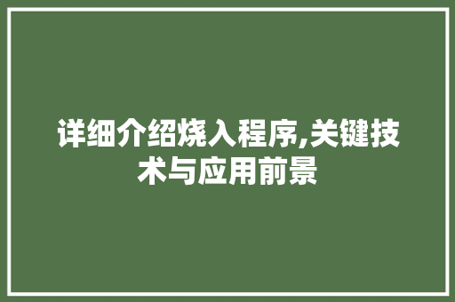 详细介绍烧入程序,关键技术与应用前景