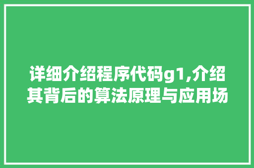 详细介绍程序代码g1,介绍其背后的算法原理与应用场景