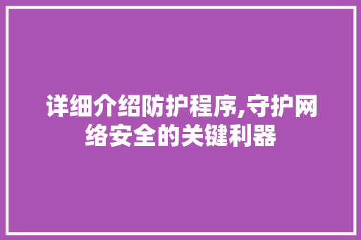 详细介绍防护程序,守护网络安全的关键利器