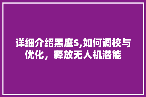 详细介绍黑鹰S,如何调校与优化，释放无人机潜能 AI技术学习