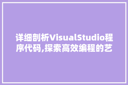 详细剖析VisualStudio程序代码,探索高效编程的艺术