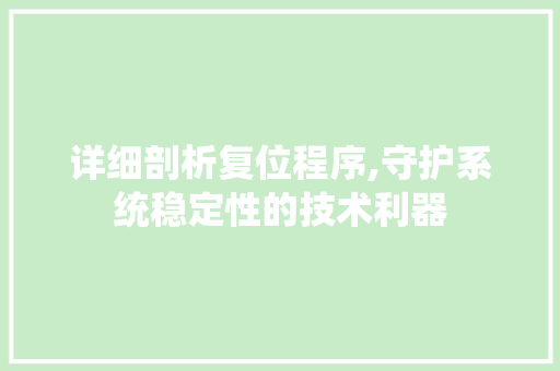 详细剖析复位程序,守护系统稳定性的技术利器