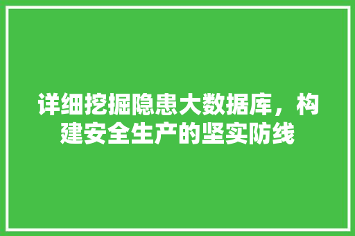 详细挖掘隐患大数据库，构建安全生产的坚实防线