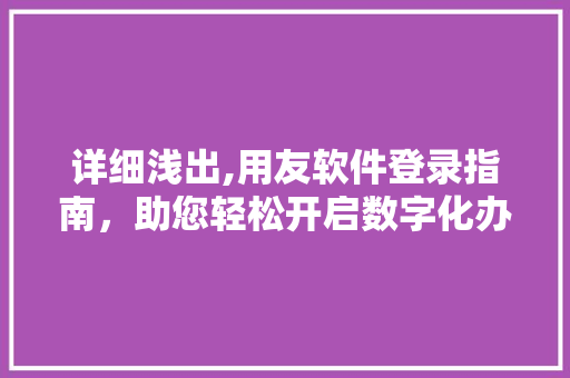 详细浅出,用友软件登录指南，助您轻松开启数字化办公之旅