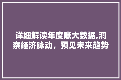 详细解读年度账大数据,洞察经济脉动，预见未来趋势