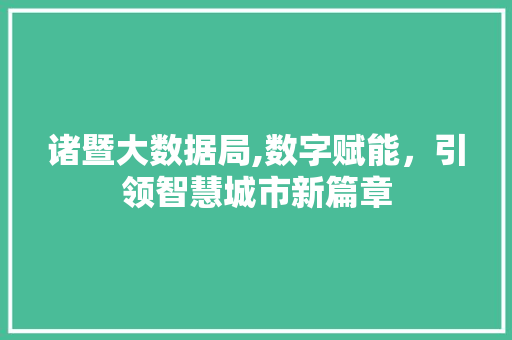 诸暨大数据局,数字赋能，引领智慧城市新篇章