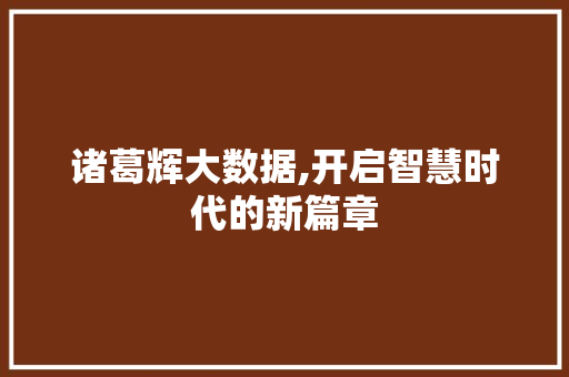 诸葛辉大数据,开启智慧时代的新篇章 seo技术