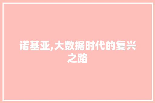 诺基亚,大数据时代的复兴之路