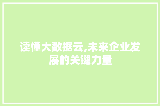 读懂大数据云,未来企业发展的关键力量
