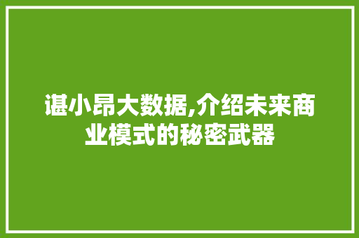 谌小昂大数据,介绍未来商业模式的秘密武器