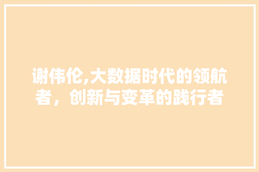 谢伟伦,大数据时代的领航者，创新与变革的践行者
