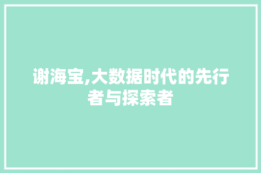 谢海宝,大数据时代的先行者与探索者 小程序开发