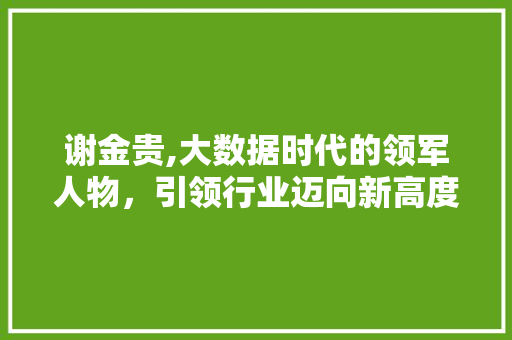 谢金贵,大数据时代的领军人物，引领行业迈向新高度