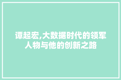 谭起宏,大数据时代的领军人物与他的创新之路