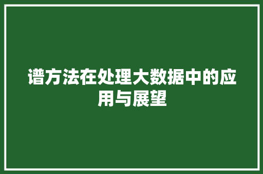 谱方法在处理大数据中的应用与展望