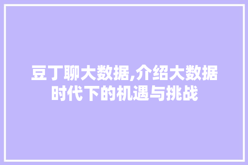 豆丁聊大数据,介绍大数据时代下的机遇与挑战