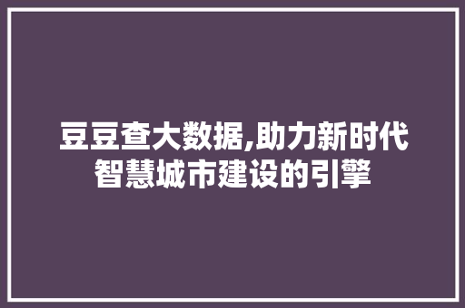 豆豆查大数据,助力新时代智慧城市建设的引擎 网站开发