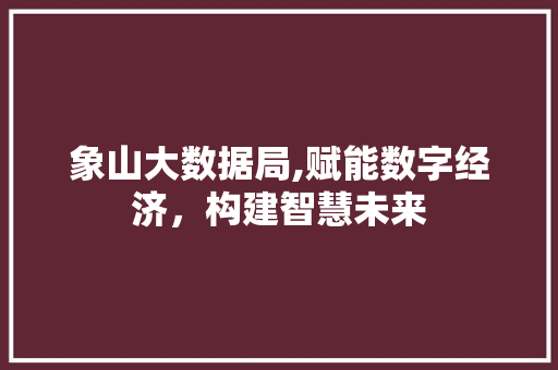象山大数据局,赋能数字经济，构建智慧未来