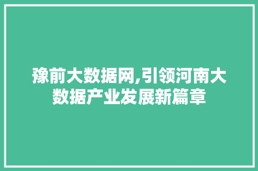 豫前大数据网,引领河南大数据产业发展新篇章