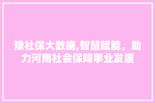 豫社保大数据,智慧赋能，助力河南社会保障事业发展 百度算法