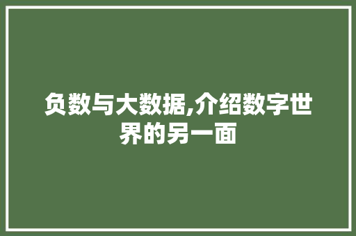 负数与大数据,介绍数字世界的另一面