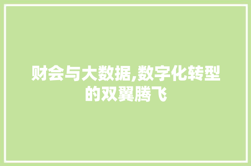 财会与大数据,数字化转型的双翼腾飞 小程序开发