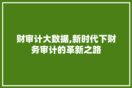 财审计大数据,新时代下财务审计的革新之路