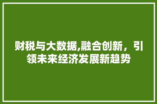 财税与大数据,融合创新，引领未来经济发展新趋势 360搜优化