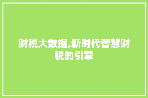 财税大数据,新时代智慧财税的引擎 网站开发