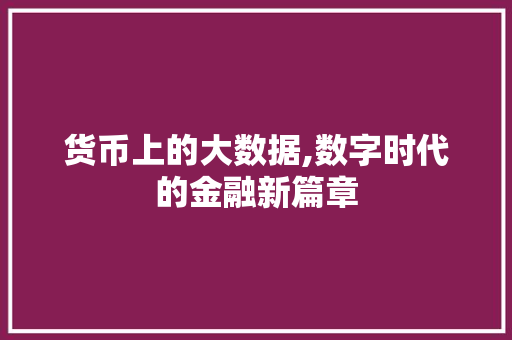 货币上的大数据,数字时代的金融新篇章