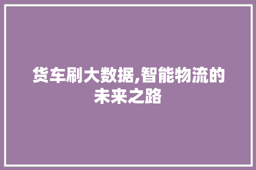 货车刷大数据,智能物流的未来之路
