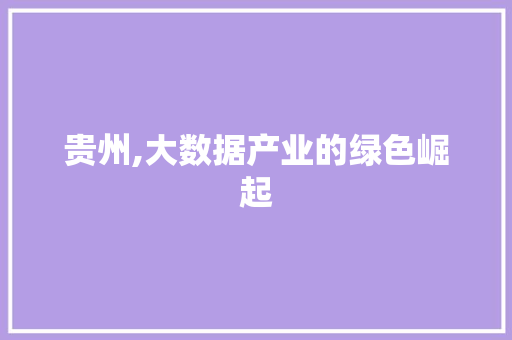 贵州,大数据产业的绿色崛起