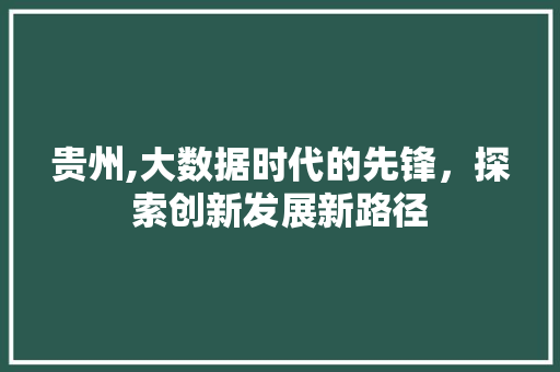 贵州,大数据时代的先锋，探索创新发展新路径 网站开发