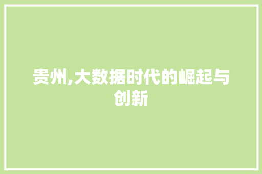 贵州,大数据时代的崛起与创新