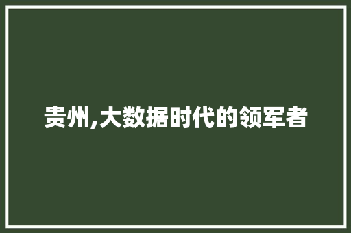 贵州,大数据时代的领军者