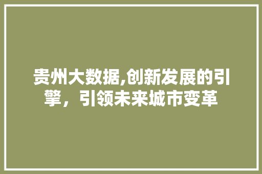贵州大数据,创新发展的引擎，引领未来城市变革 网站优化
