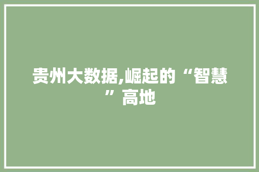 贵州大数据,崛起的“智慧”高地