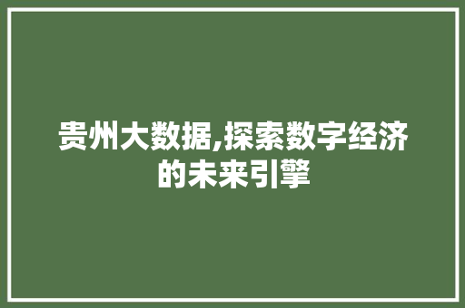 贵州大数据,探索数字经济的未来引擎