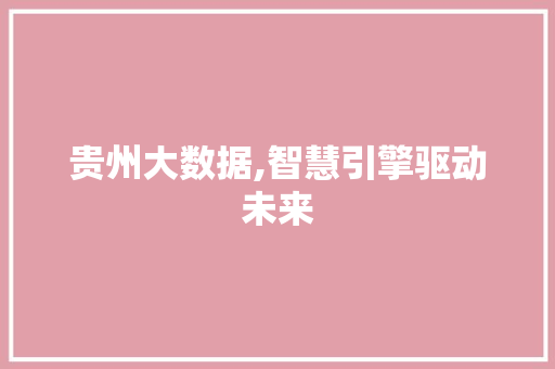 贵州大数据,智慧引擎驱动未来