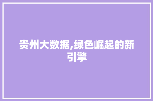 贵州大数据,绿色崛起的新引擎
