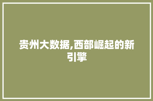 贵州大数据,西部崛起的新引擎