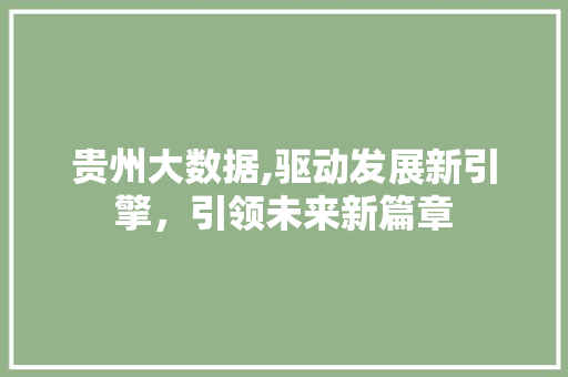 贵州大数据,驱动发展新引擎，引领未来新篇章 搜狗优化