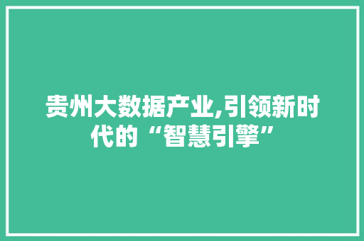 贵州大数据产业,引领新时代的“智慧引擎” 网站开发