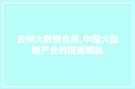 贵州大数据仓库,中国大数据产业的璀璨明珠