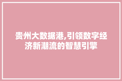 贵州大数据港,引领数字经济新潮流的智慧引擎
