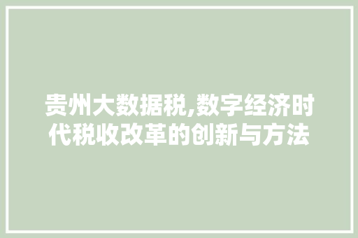 贵州大数据税,数字经济时代税收改革的创新与方法