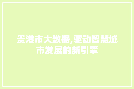 贵港市大数据,驱动智慧城市发展的新引擎 小程序开发