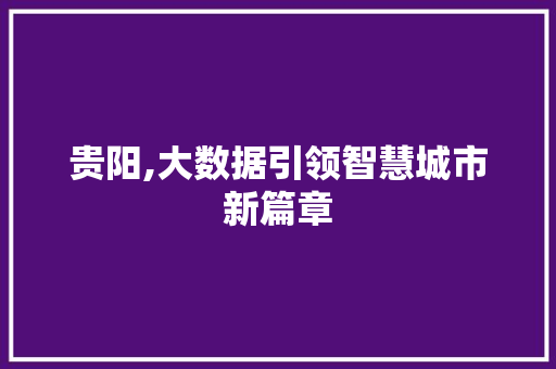 贵阳,大数据引领智慧城市新篇章 seo技术