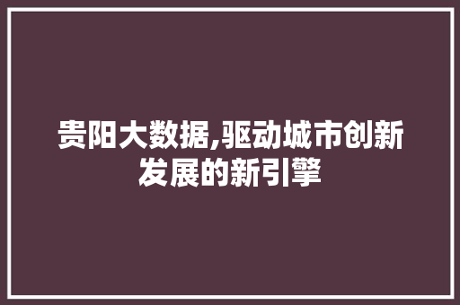 贵阳大数据,驱动城市创新发展的新引擎